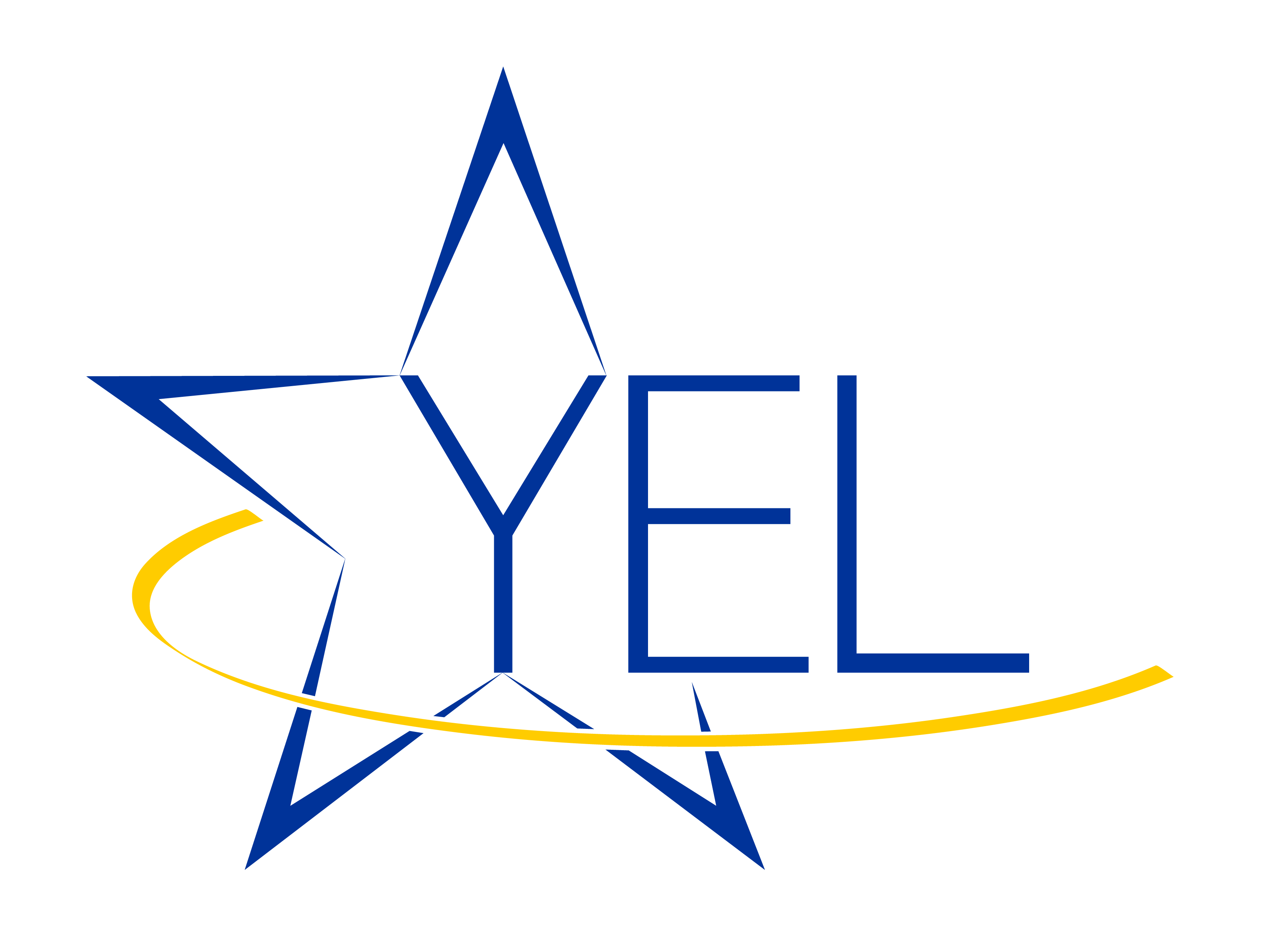 Young European Council