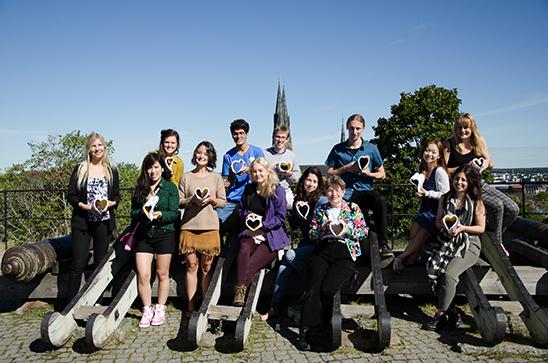 The SGIR Summer School 2017 in Sweden