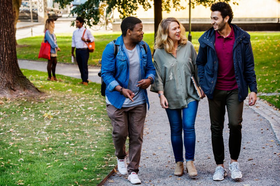 The Swedish Institute Study Scholarships