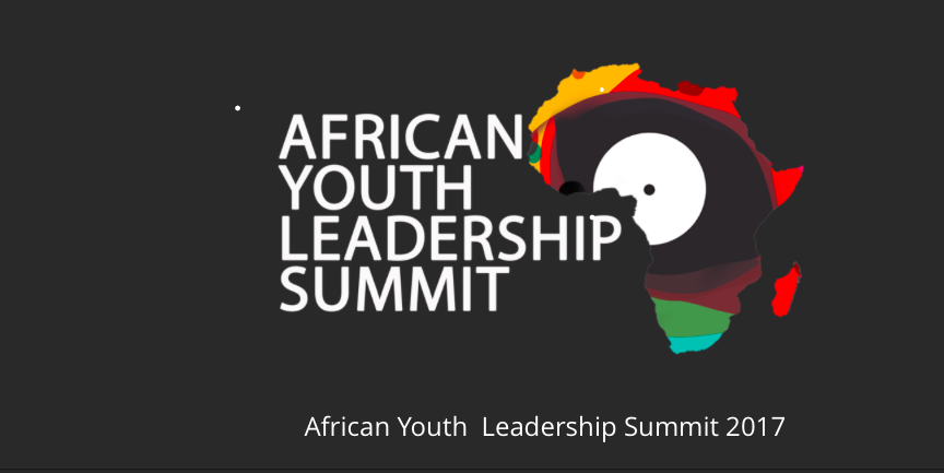 African Youth Leadership Summit