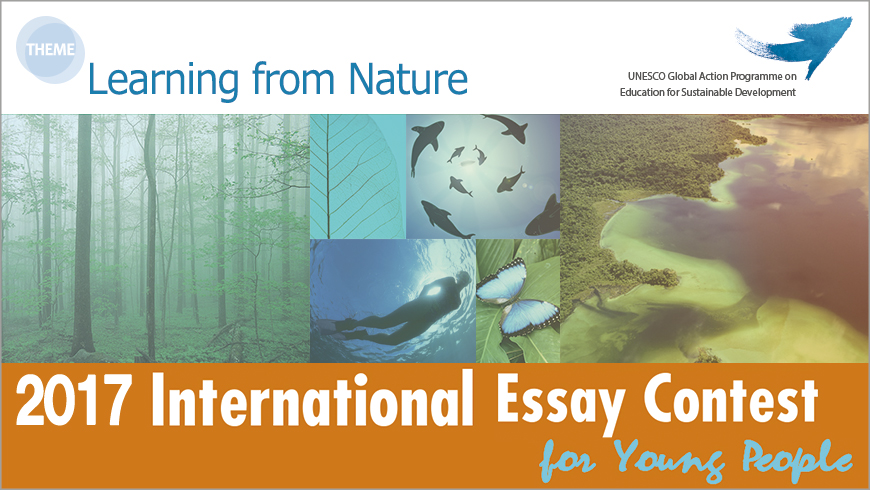 Gio peace foundation international essay contest for young people