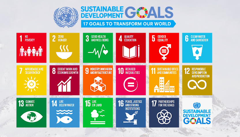 Young Sustainable Impact 2017