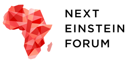 The Next Einstein Forum (NEF) Ambassadors Programme