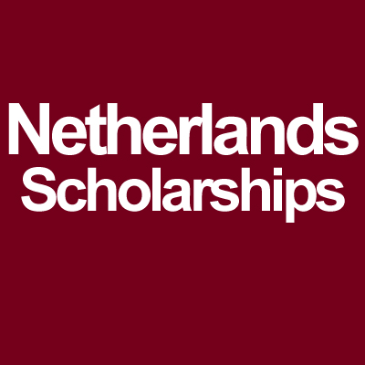 Netherlands Fellowship Programmes (NFP)
