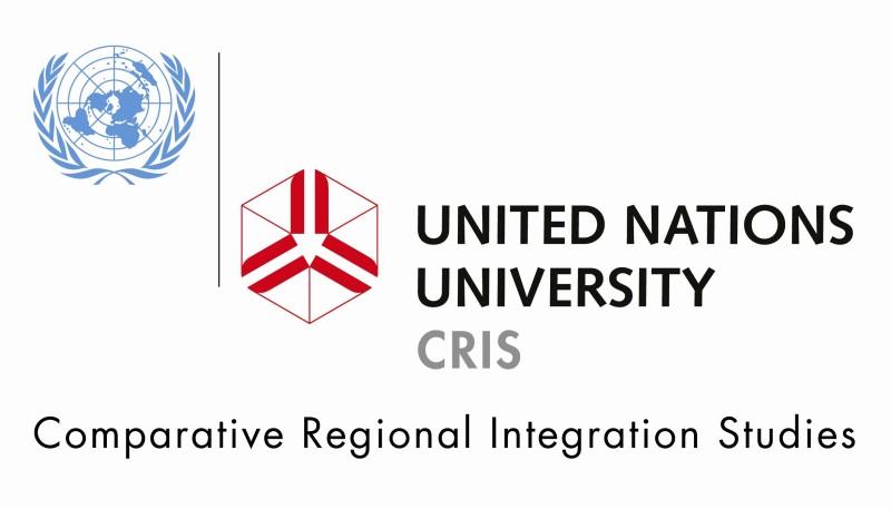 UNU-CRIS Internships & Traineeships Programme