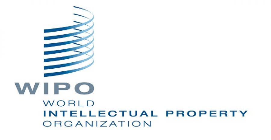 Paid Internship at World Intellectual Property Organization(WIPO)