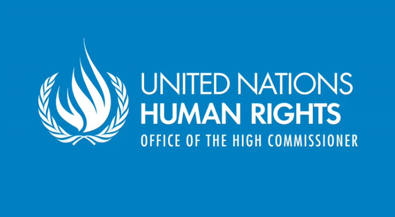 UN Fellowship Program 2017