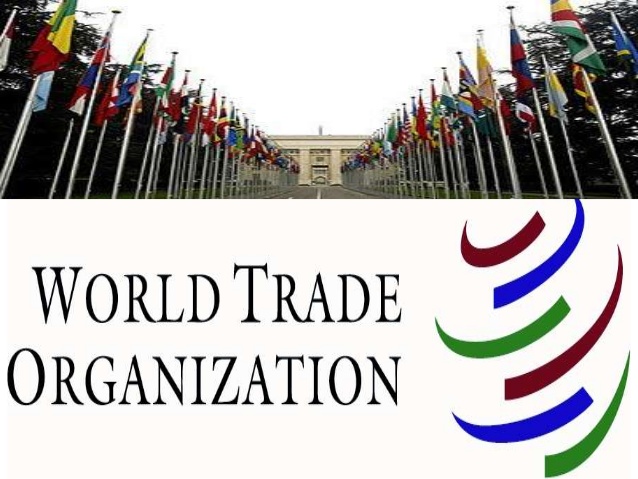 Paid Internship at World Trade Organization, Geneva
