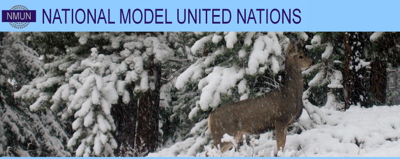 National Model United Nation Conference in Canada