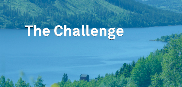 The Smart Energy Challenge 2017