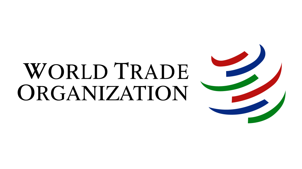 Paid Internship at WTO