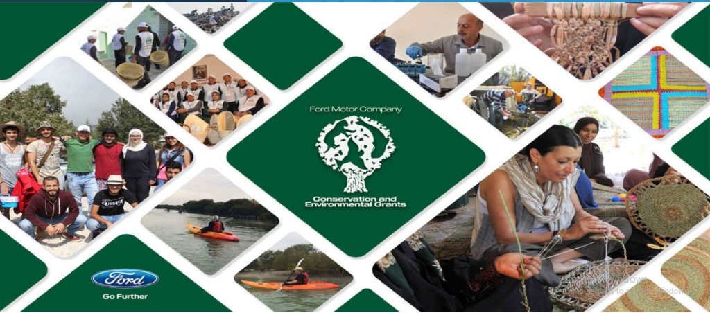 Ford Grant Program 2017