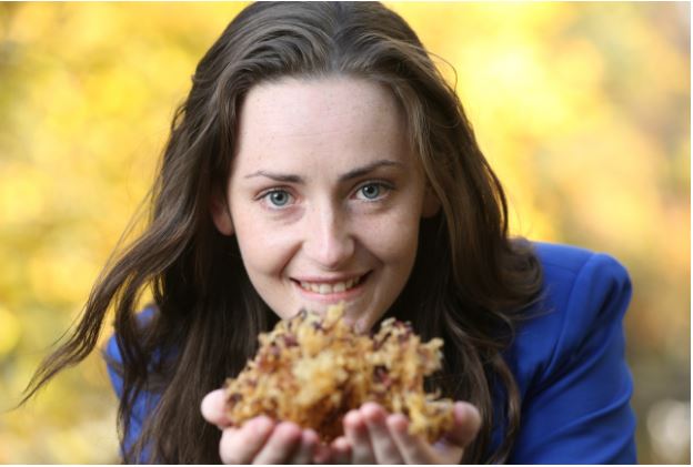 Irish Government Scholarships 2018