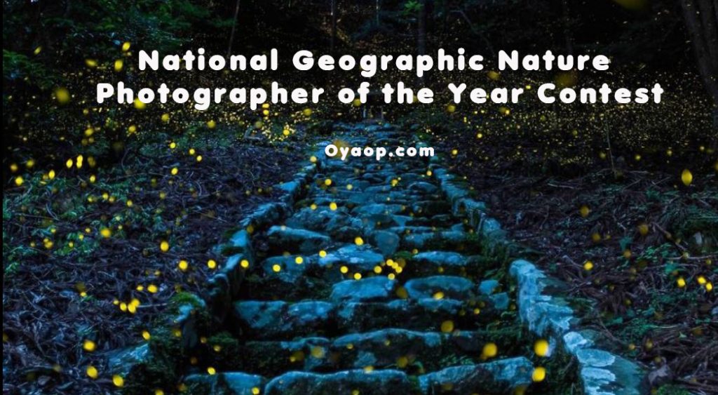 National Geographic Nature Photographer of the Year Contest