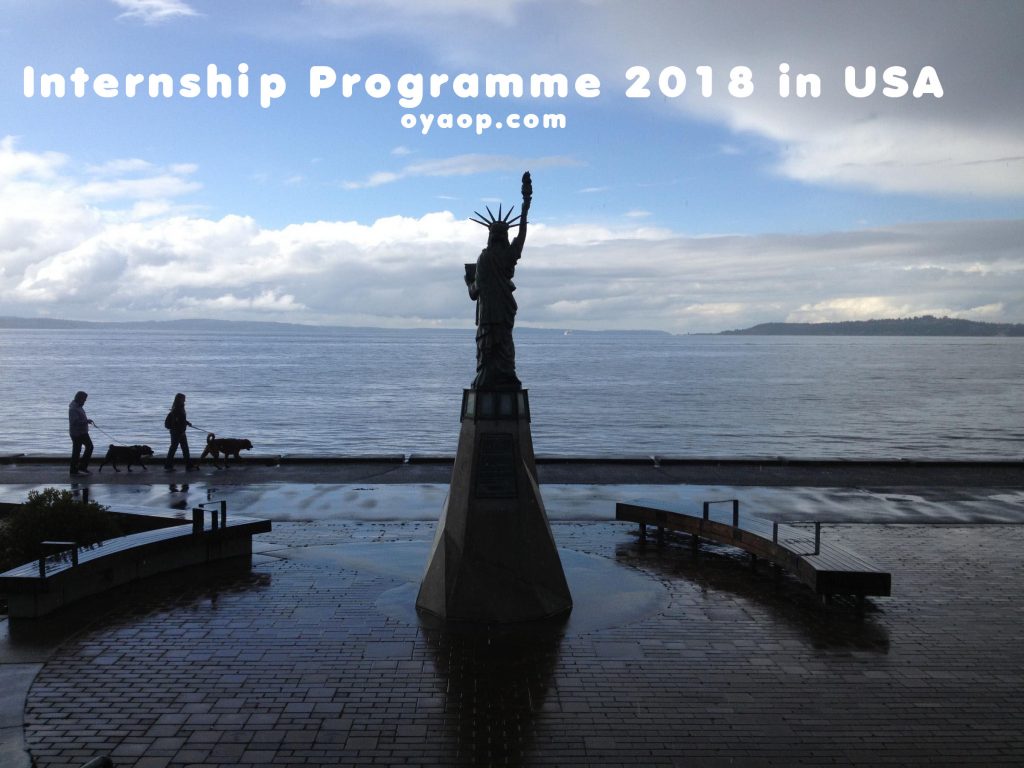 Internship Programme 2018 in USA