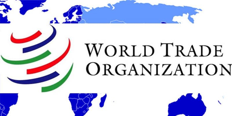 World Trade Organization Paid Internship