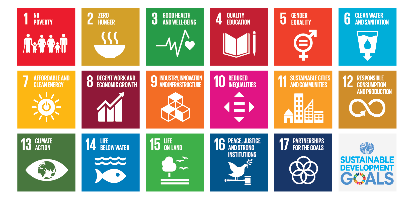 United Nations Global Compact Sustainable Development Goals (SDGs) Pioneer 2018