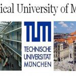 Professor at Technical University of Munich