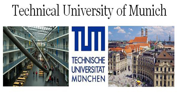 Professor at Technical University of Munich