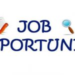 HSE Consultant Job
