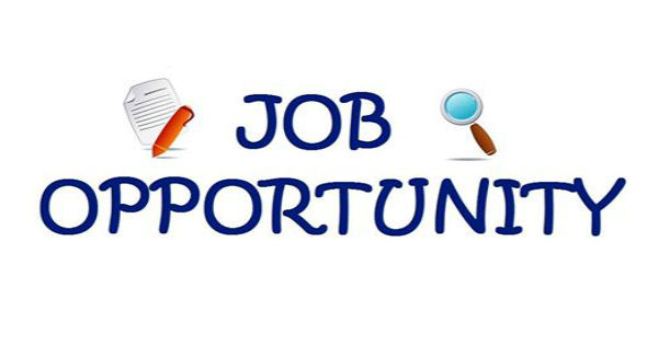 HSE Consultant Job