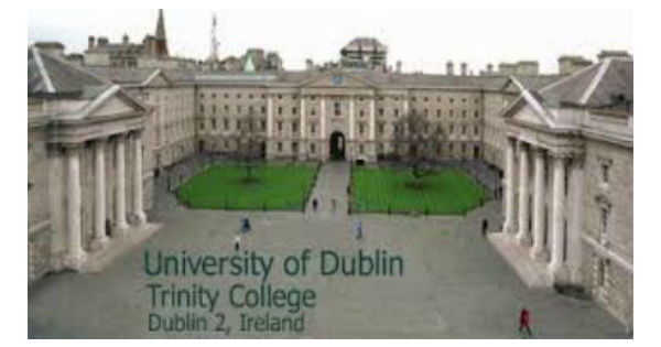Professor of Electronic Engineering in University of Ireland