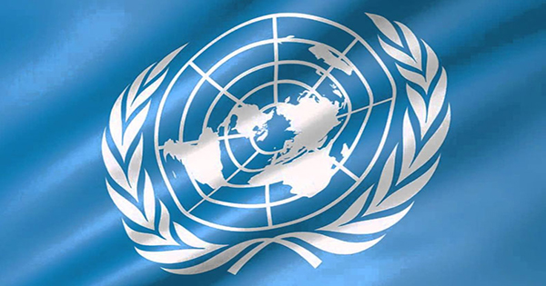 United Nations Fellowship 2023