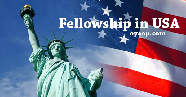 Fully Funded Fellowship in USA