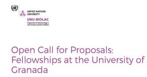 Fully Funded Fellowships at the University of Granada, Spain