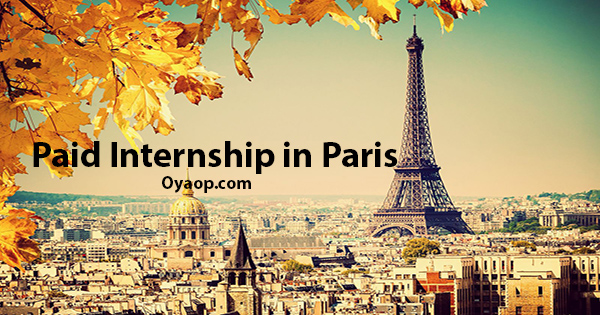 Paid Internship in France