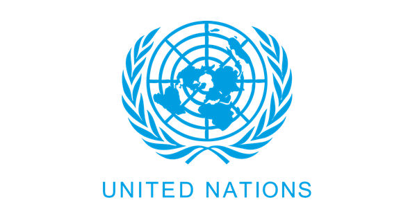 Project Manager at UN Career, Sierra Leone