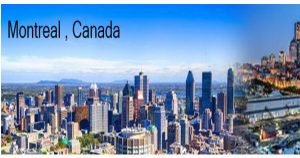 International Conference on Chemical and Environmental Science (ICCES)