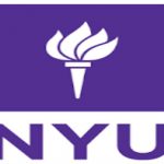 Lecturer and Programme Manager for Business, Political Economy and Entrepreneurship at New York University,London