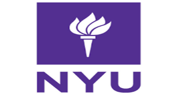 Lecturer and Programme Manager for Business, Political Economy and Entrepreneurship at New York University,London