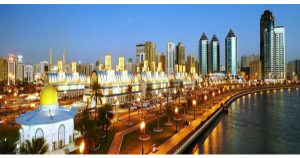 International Conference on Medical and Biosciences (ICMBS)