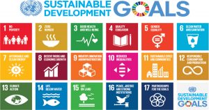 UN Sustainable Development Goals (Free Online Course)
