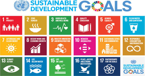 UN Sustainable Development Goals (Free Online Course)