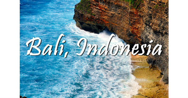 International Conference on Environmental Science and Development in Indonesia