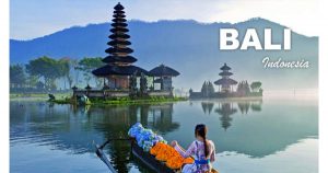International Conference on Economics Finance and Accounting in Indonesia