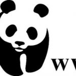 Senior Program Officer Job at World Wildlife Fund
