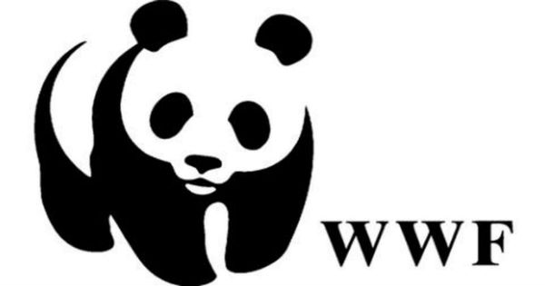 Senior Program Officer Job at World Wildlife Fund