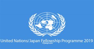 United Nations/Japan Fellowship Programme 2019