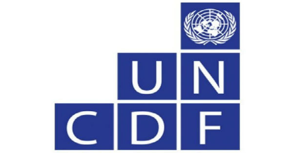 Deputy Project Manager at UNDP
