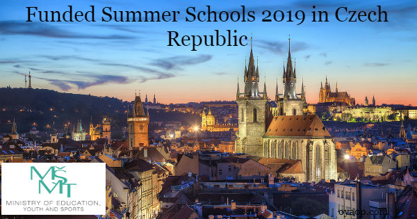 Summer Schools 2019