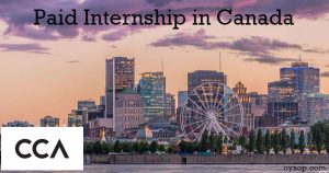 Paid Internship