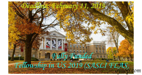 Fully Funded Fellowship
