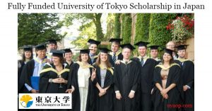 University of Tokyo Scholarship