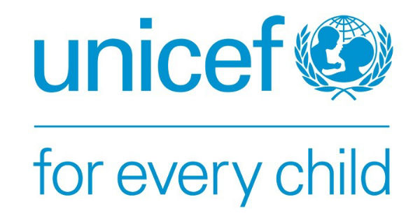 Emergency Manager (Risk Analysis) Job in UNICEF