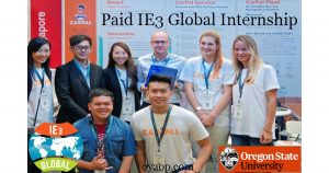 Paid IE3 Global Internship