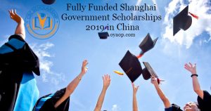 Shanghai Government Scholarships